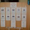Voľby do Rady obyvateľov CSS - Juh 2022