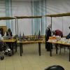 Naša zimička - DSC_0654