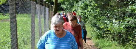 Opekačka Lesopark Brezina 2016