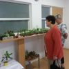 Výstava bonsajov a sukulentov - 20160617_092816
