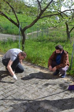 Čistenie terasy zariadenia 05/2021