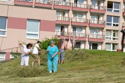 Hrabanie sena - rsz_dsc_0561