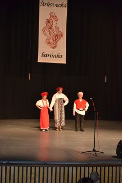 Štrkovecká barónka 2013 - Dsc 0367