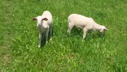 Čím žijeme - 20140521_133542