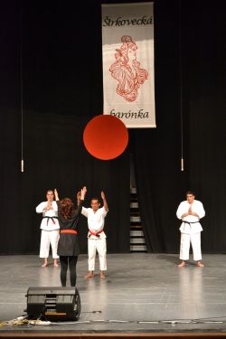 Český deň - DSC_0753