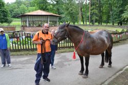 Hry bez hraníc 2018