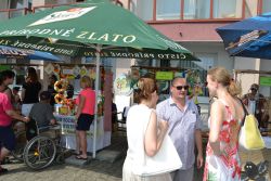 Jarmočné námestie -divoký juh 2019 - rsz_dsc_0124