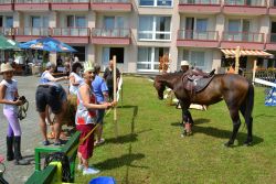 Jarmočné námestie -divoký juh 2019 - rsz_dsc_0131