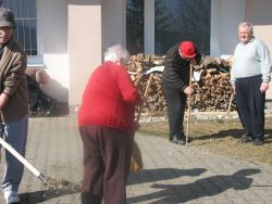 Img 5054