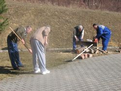 Img 5060