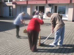 Img 5067