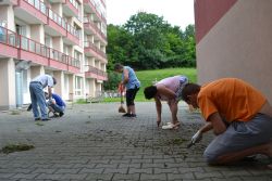 Pracovné aktivity klientov