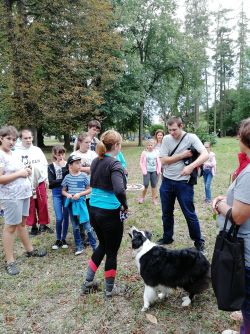Piknik v parku 
