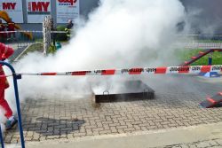 Výstava FirEco 2019