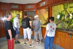 Zoo Bojnice 2016