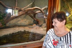 Zoo Bojnice 2016