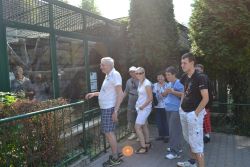 Zoo Bojnice 2016