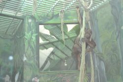 Zoo Bojnice 2016