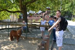 Zoo Bojnice 2016