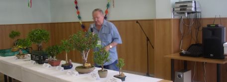Výstava bonsajov - P1010021