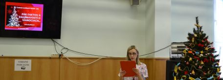 Vianočná prezentácia: Pár faktov a zaujímavostí o Vianociach...